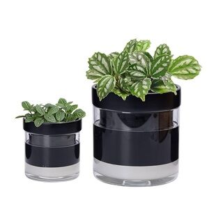 Self Watering Terracotta Planter Black Terracotta Clay Pot Glass Reservoir 2 set